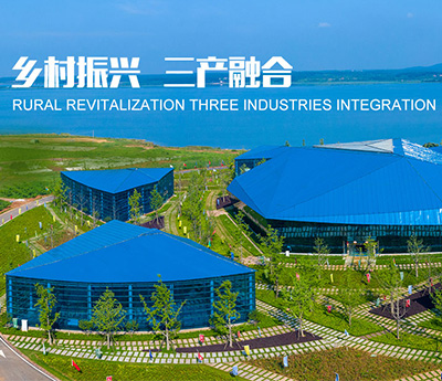 湖北未来家园项目